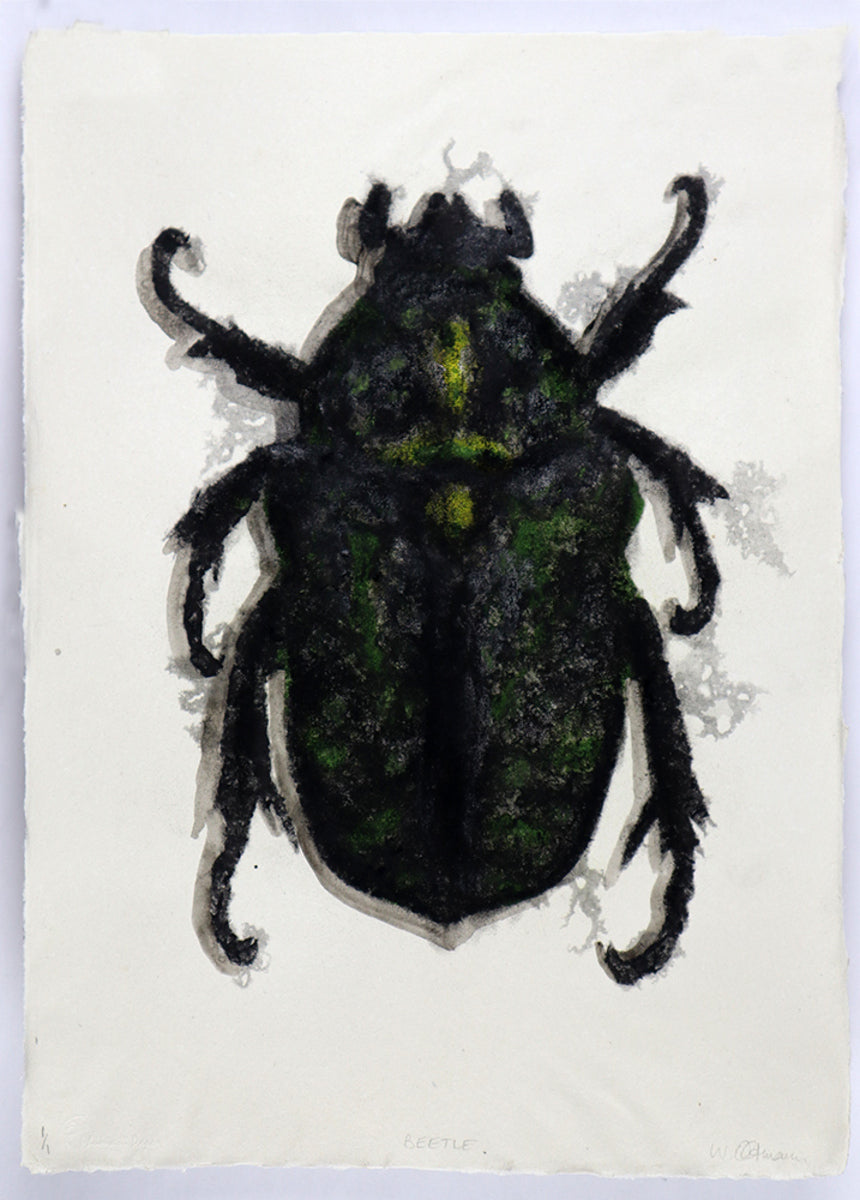 Black & Green Beetle