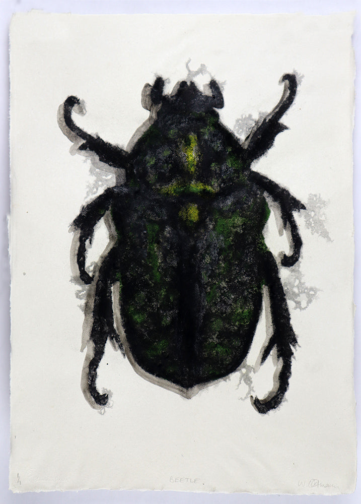 Black &amp; Green Beetle