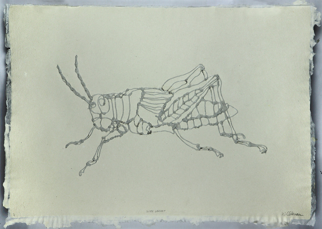 Wire Locust