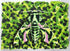 Camouflaged Moth