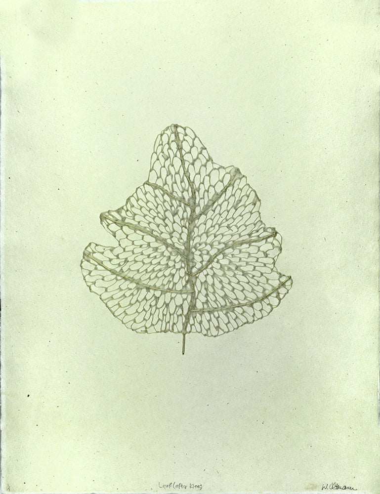 Leaf (After klee)