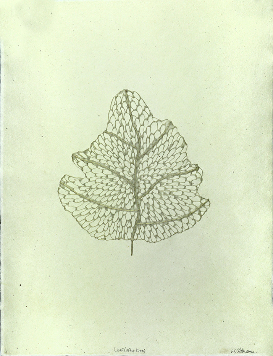 Leaf (After Klee)