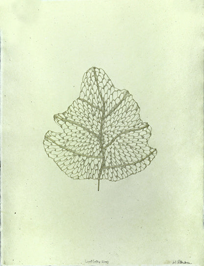 Leaf (After Klee)