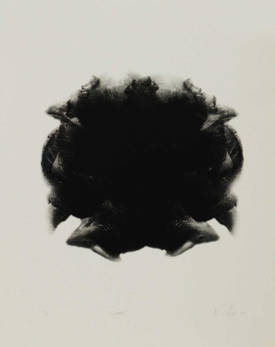 Cluster