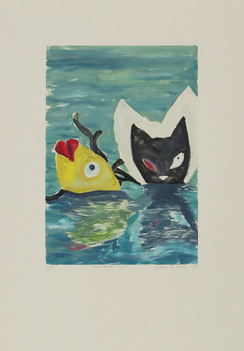Absorvendo Agua